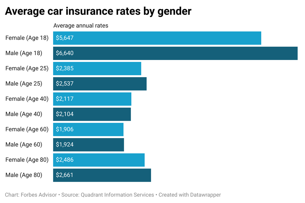 How much does car insurance cost