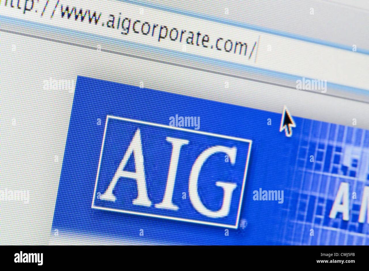 Aig insurance company