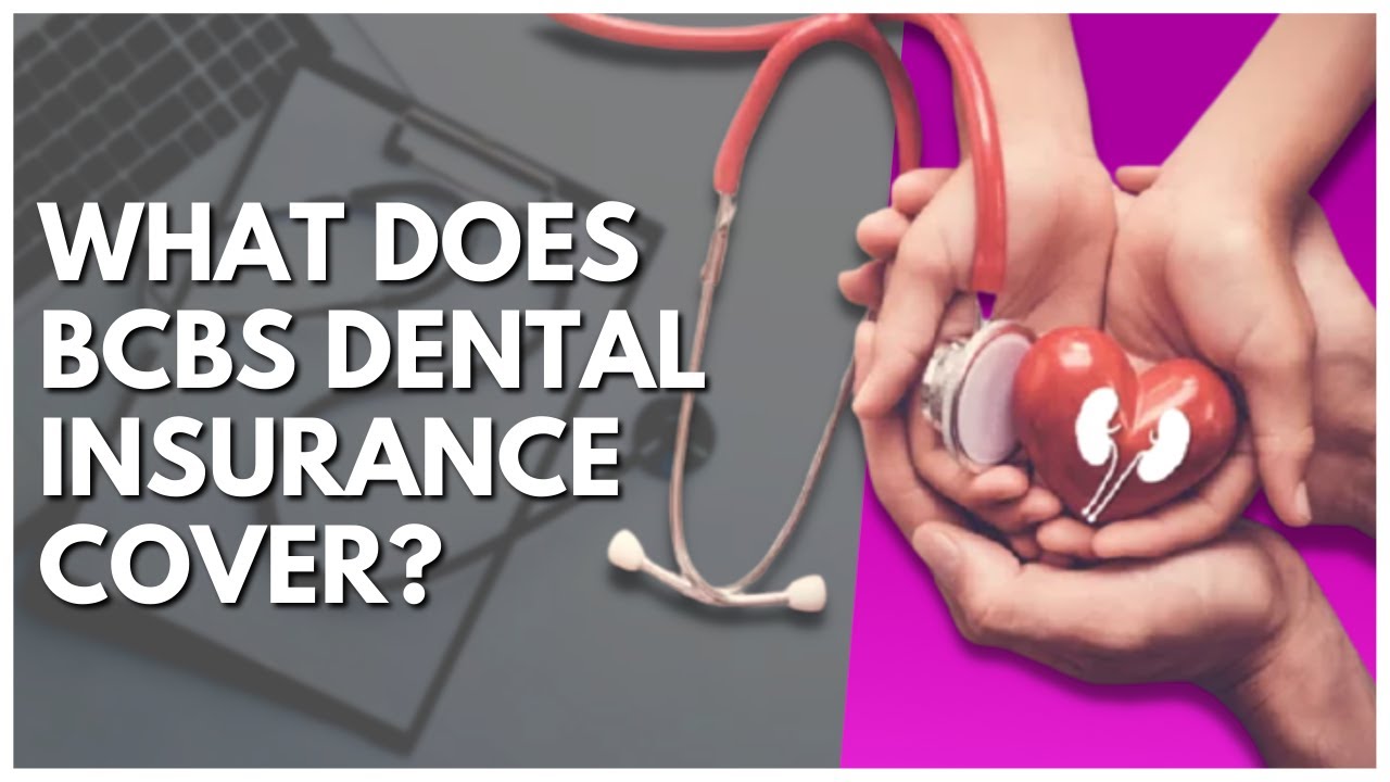 Bcbs dental insurance