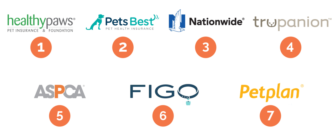 Best pet insurance company