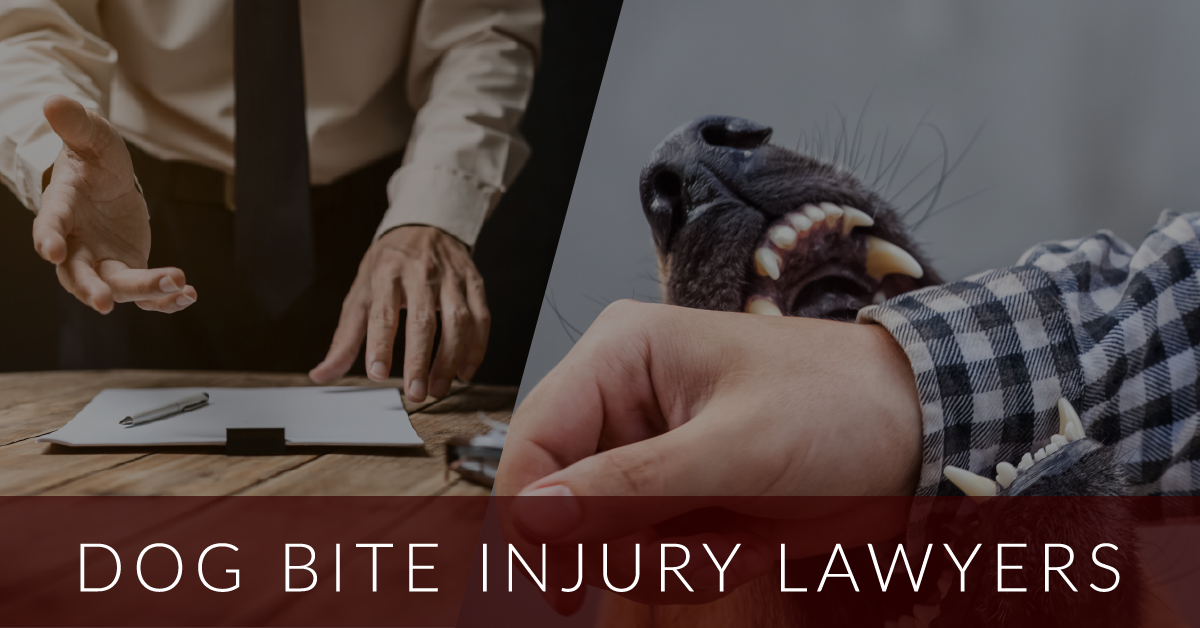 Dog bite injury complications infection lawyer trauma accident understanding german shepherd damage nerve emotional include attorney personal aggression marysville common